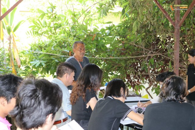 มือใหม่...หัดทำบอนไซ