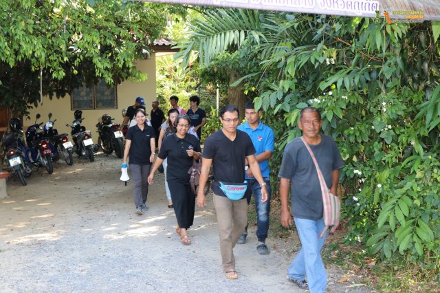 มือใหม่...หัดทำบอนไซ