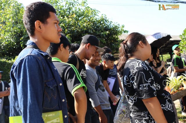 มือใหม่...หัดทำบอนไซ