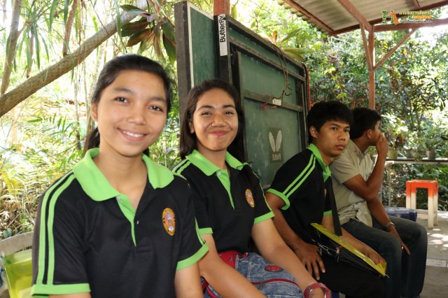 มือใหม่...หัดทำบอนไซ