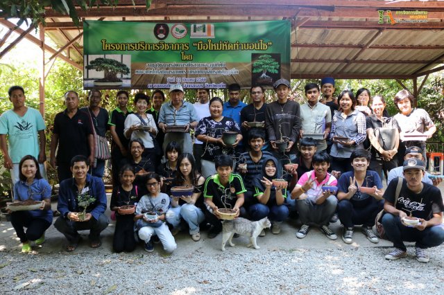 มือใหม่...หัดทำบอนไซ