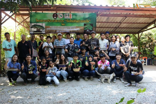 มือใหม่...หัดทำบอนไซ