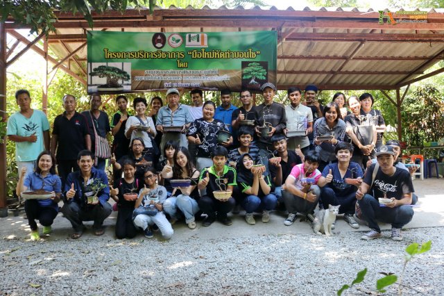 มือใหม่...หัดทำบอนไซ