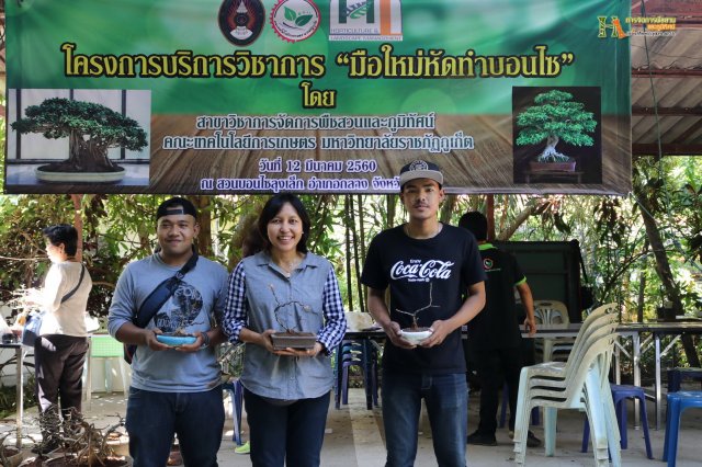 มือใหม่...หัดทำบอนไซ