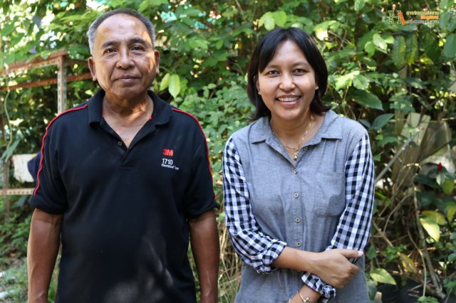 มือใหม่...หัดทำบอนไซ